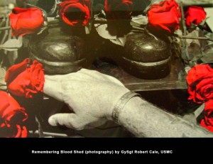 Remembering Blood Shed (photography) by GySgt Robert Cale, USMC
